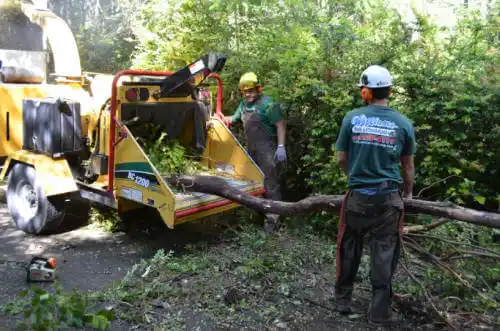 tree services Tombstone